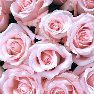 Meet your Posher, Martina